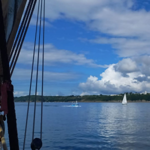 IMG-20260504-WA0066