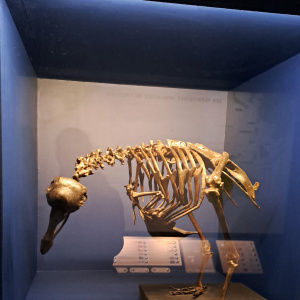 20251127_114519