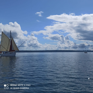 IMG-20260504-WA0040