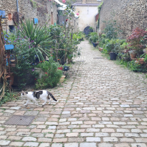 rue de St Malo